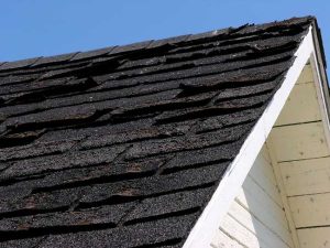 Four Signs You Need a Roof Repair