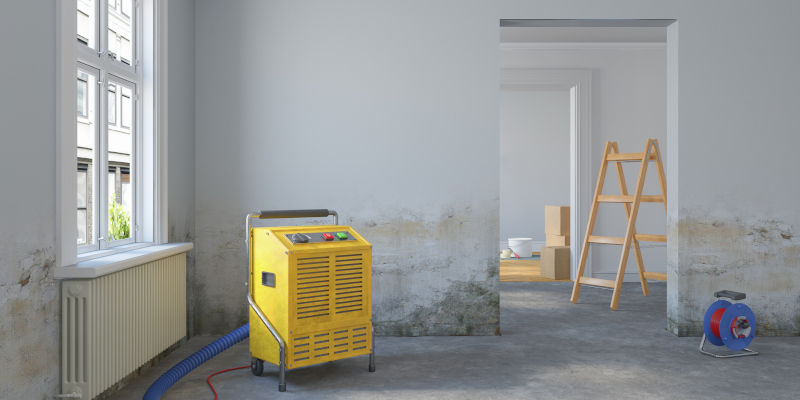 Three Reasons to Let the Pros Deal with Water Damage