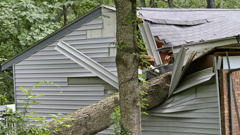 Understanding the Storm Damage Repair Process