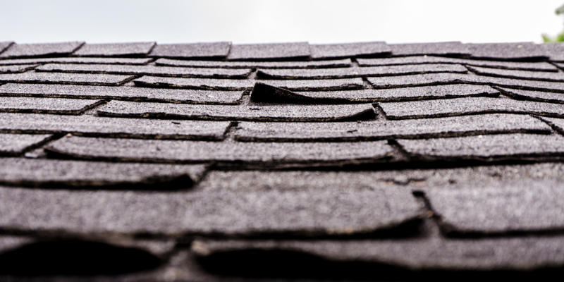 Do You Need Roof Repair? 