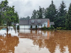 What You Need to Know About Flood Damage Repair