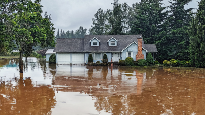 What You Need to Know About Flood Damage Repair