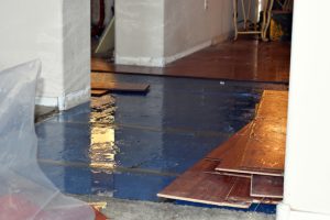 Water Damage Restoration: What Should You Do First?