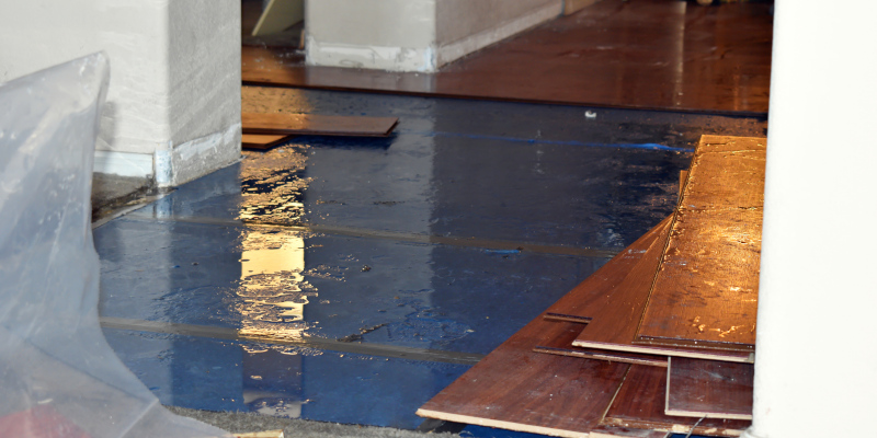 Water Damage Restoration: What Should You Do First?